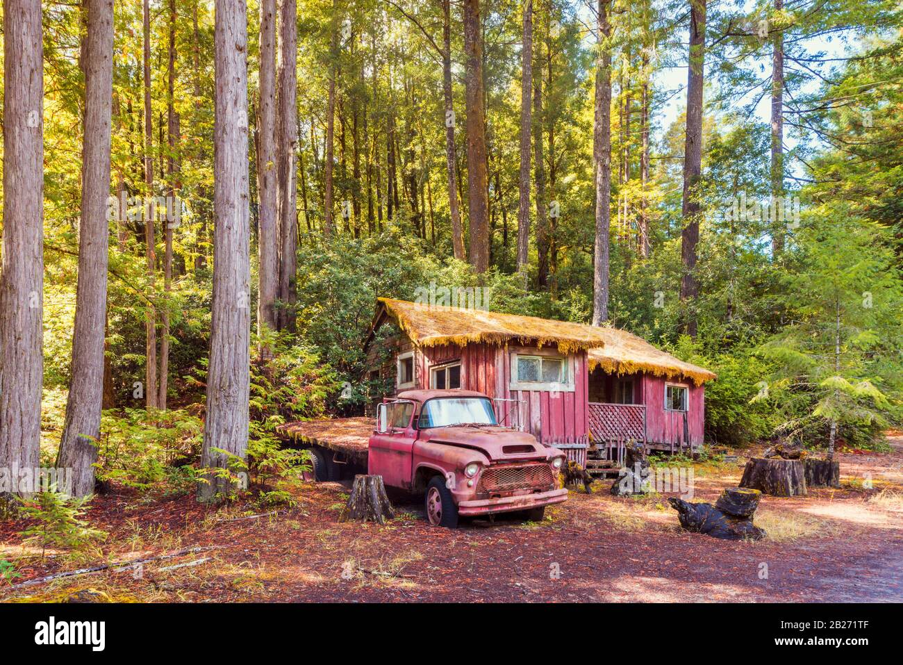 Abandoned Old Truck and Cabin in the Woods near Redwood National Park, California, USA Stock Photo