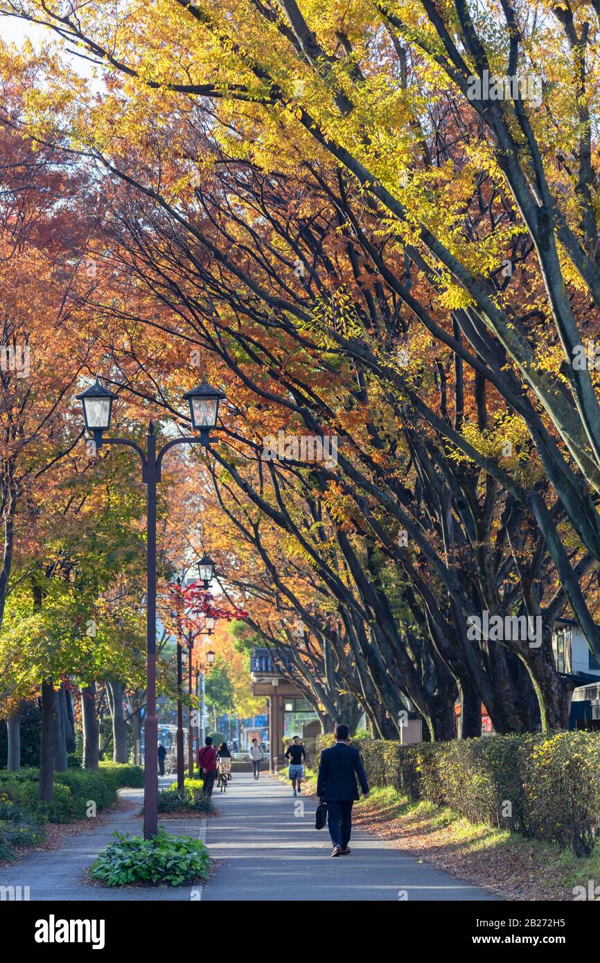 People walking past autumnal trees, Nagoya, Japan Stock Photo