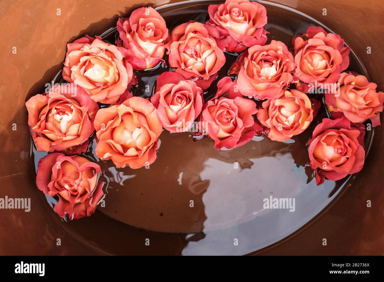 Roses in water hi-res stock photography and images - Alamy