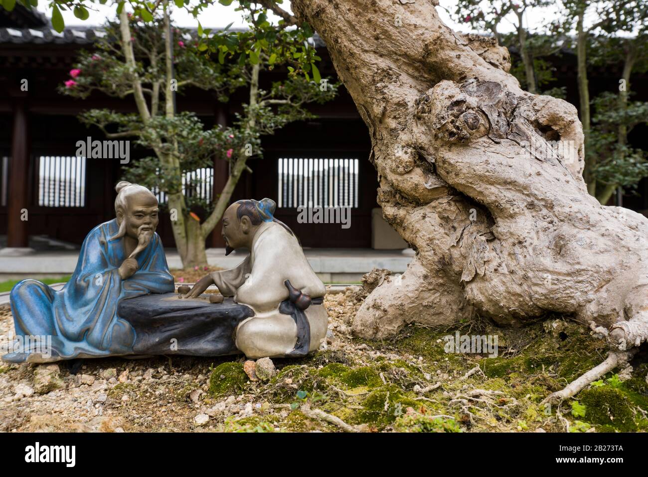 Hong Kong - January 18 2020 : Close Up of Miniature Tree, Bonsai with Chinese Ceramic Doll in Chi Lin Nunnery, Kowloon, Eye Level View Stock Photo