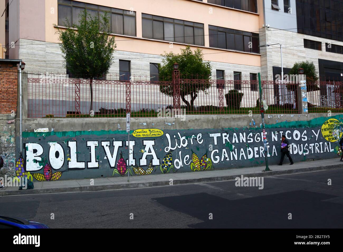 La Paz, Bolivia, 29th February 2020: 'Bolivia Free of Transgenic Crops and Industrial Cattle Farming' protest mural next to main UMSA University in La Paz. The smaller slogan on a yellow background above the IA of Bolivia translates as 'native seeds in resistance'. Stock Photo