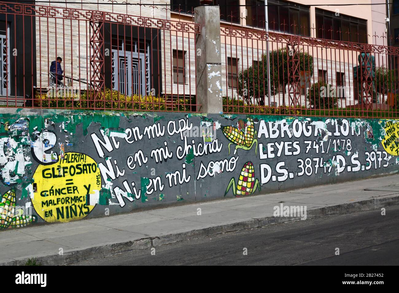 La Paz, Bolivia, 29th February 2020: Mural protesting against laws to allow transgenic crops next to main UMSA University in La Paz. On the yellow background on the left are warnings about glyphosate causing cancer and deformities in children. The phrases 'Ni en mi / Not in my api' etc refer to api, chicha and somo, popular traditional Bolivian drinks that are made using maize / corn. Stock Photo