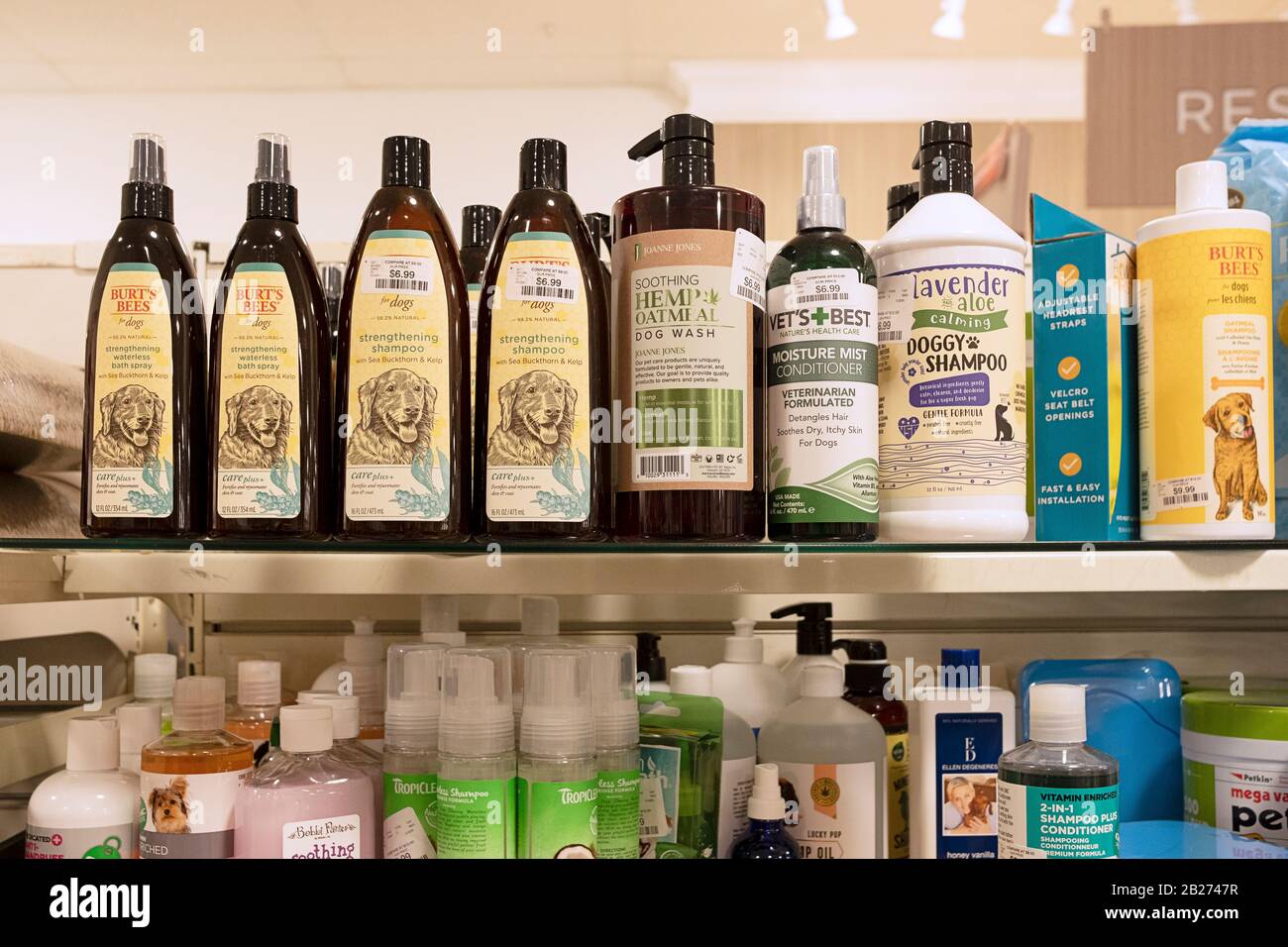 A shelf with dog grooming products for sale at Home Goods in Port Washington, Long Island, New York. Stock Photo