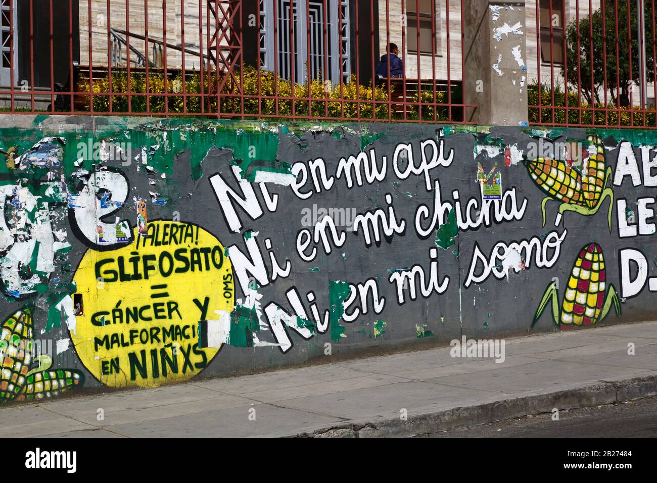 La Paz, Bolivia, 29th February 2020: Mural protesting against transgenic crops next to main UMSA University in La Paz. On the yellow background on the left are warnings about glyphosate causing cancer and deformities in children. The phrases "Ni en mi / Not in my api" etc refer to api, chicha and somo, popular traditional Bolivian drinks that are made using maize / corn. Stock Photo