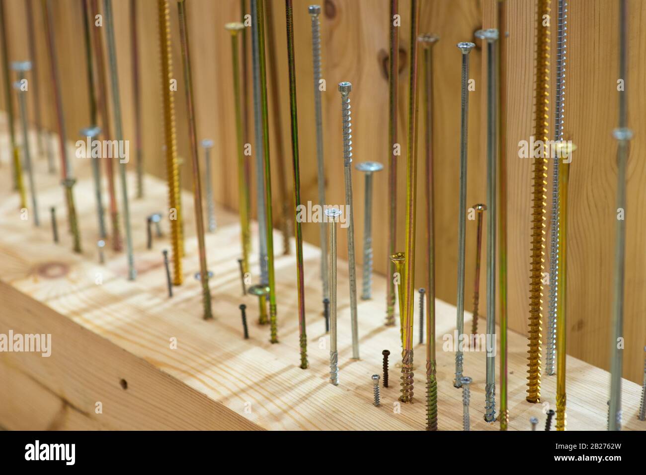 Tree screws in a wooden surface standing in a row Stock Photo Alamy
