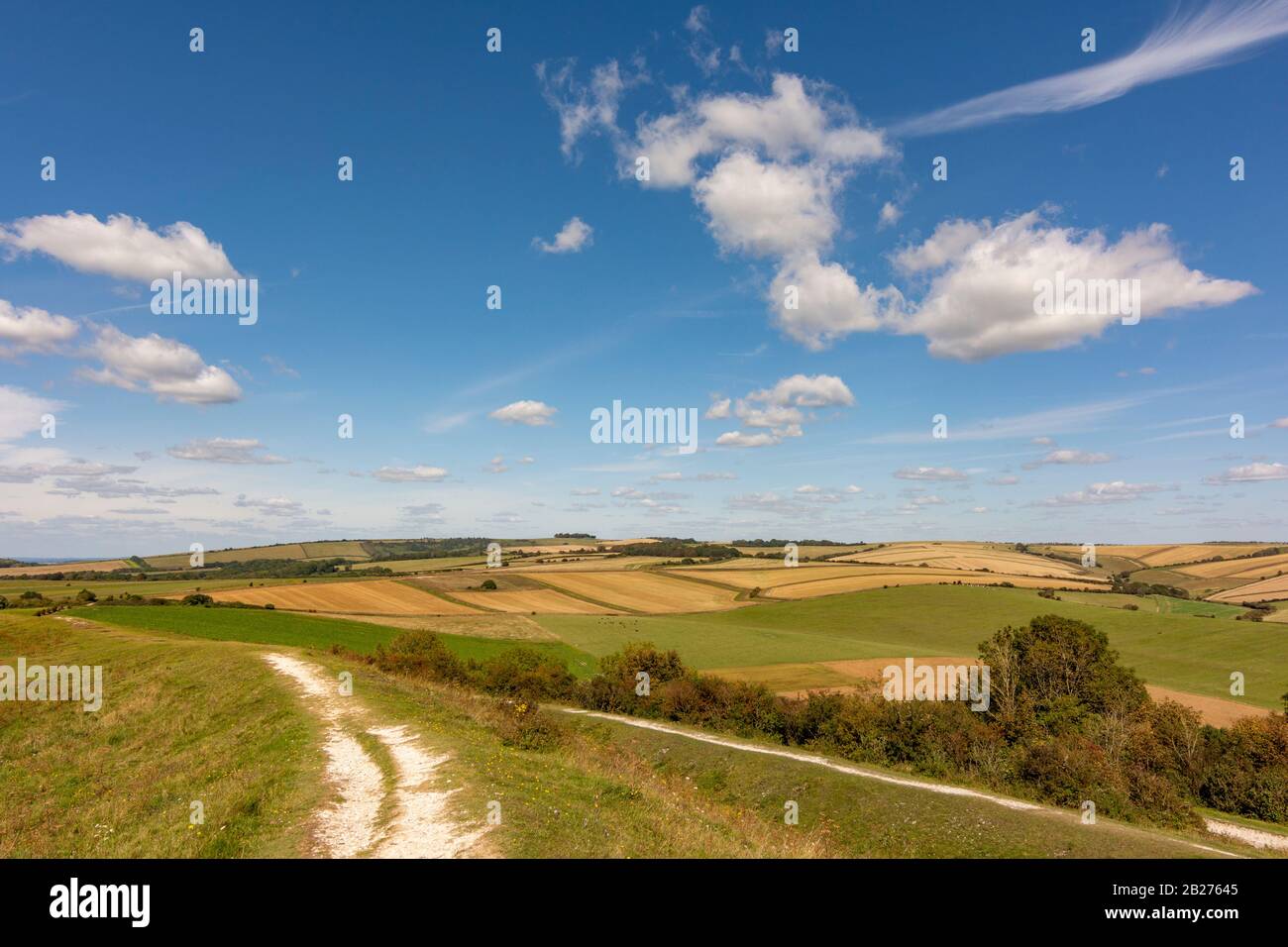 The view to the north and Chanctonbury Ring from Cissbury Ring in the South Downs National Park, West Sussex, southern England, UK. Stock Photo