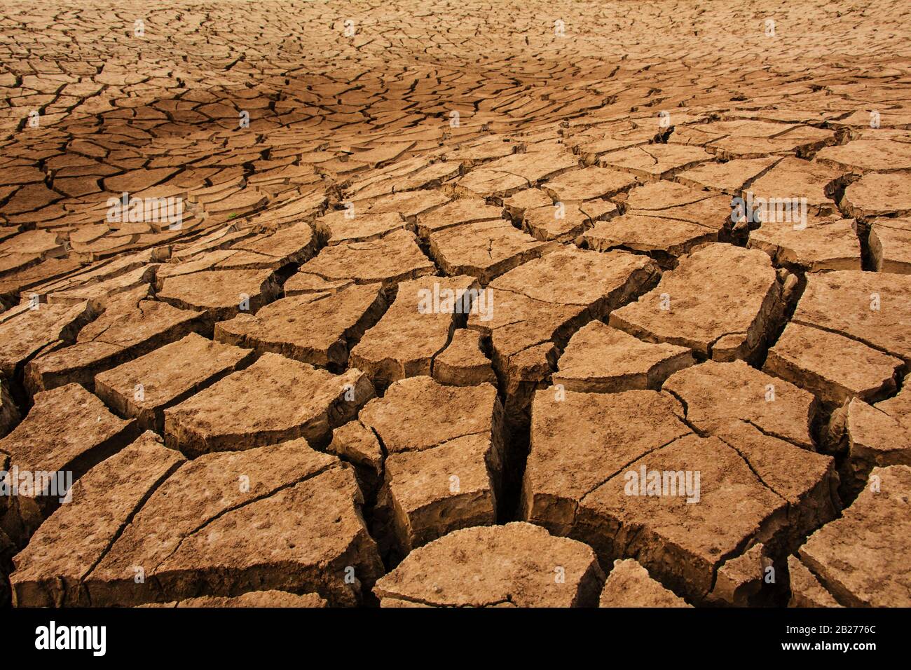 Nature background of cracked dry lands. Natural texture of soil with cracks. Broken clay surface of barren dryland wasteland close-up. Full frame to t Stock Photo
