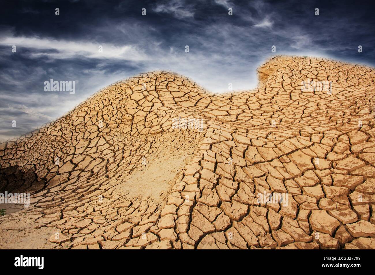 Dried land in the desert. Cracked soil crust Stock Photo