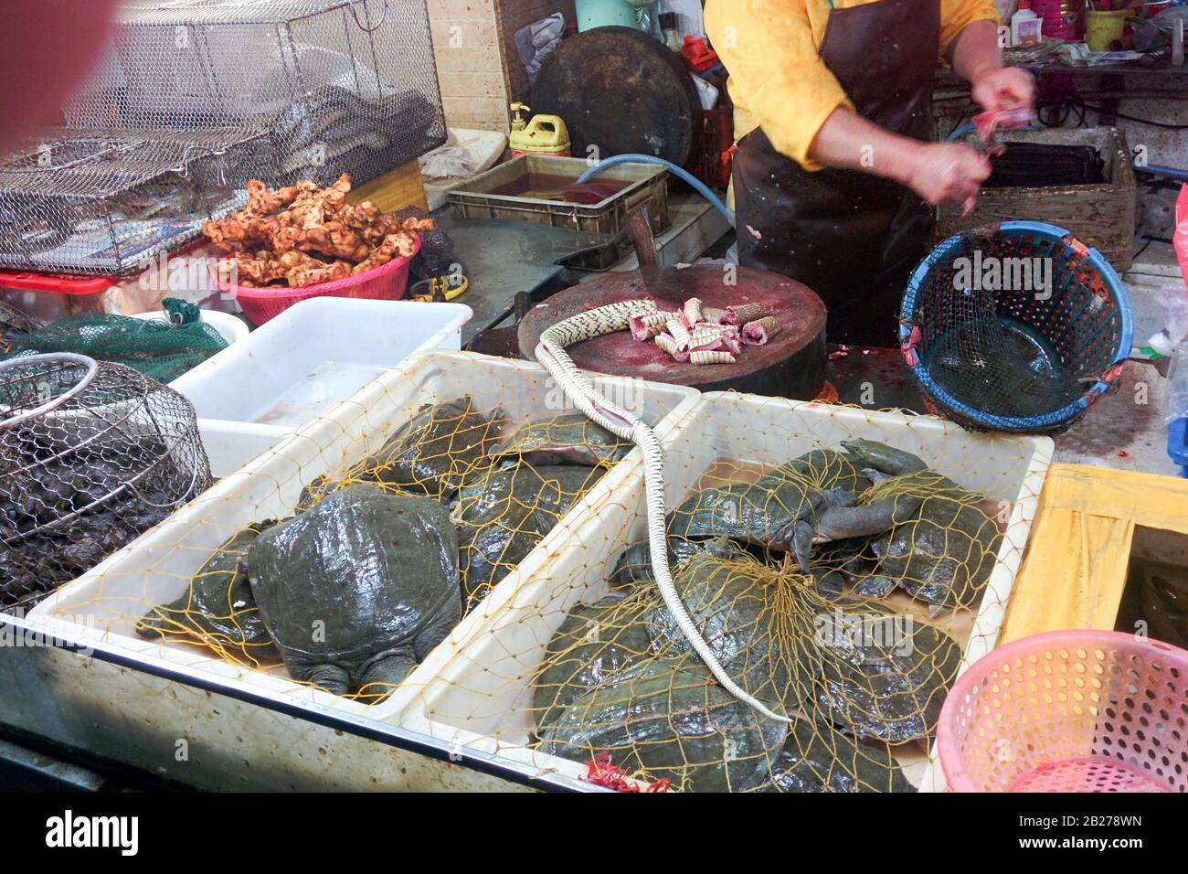 Chopped crocodile at a wet market in Guangzhou, China.