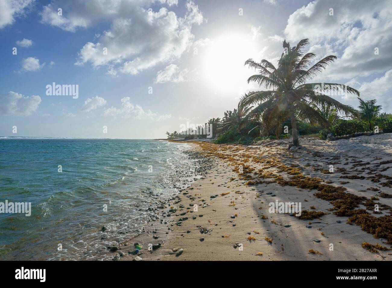 Peaceful beach scene, Grand Cayman Island Stock Photo