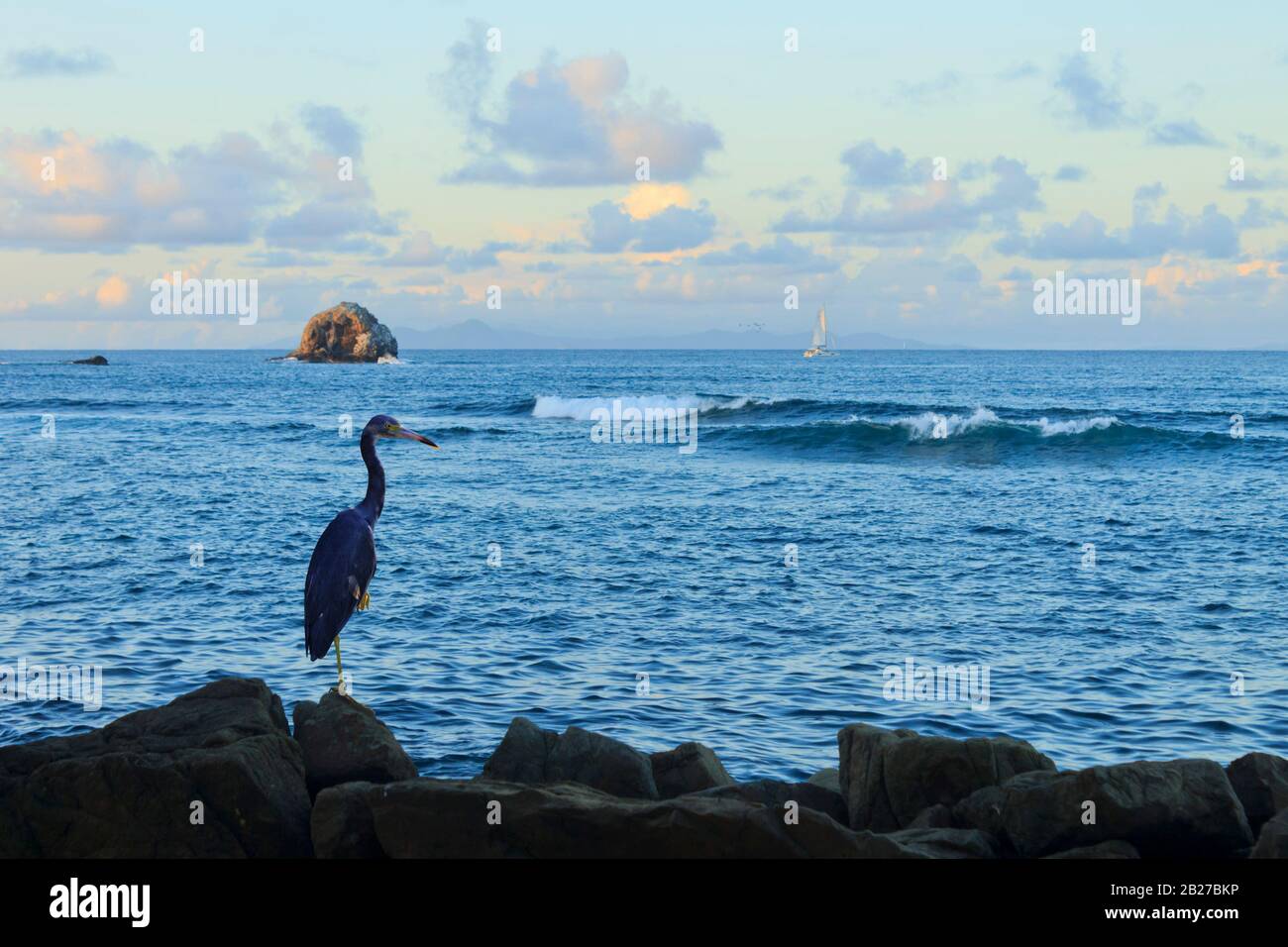 breath-taking view of a rock island in the beautiful ocean and a heron perched on one leg  watching waves break as a yacht sails away in the distance Stock Photo