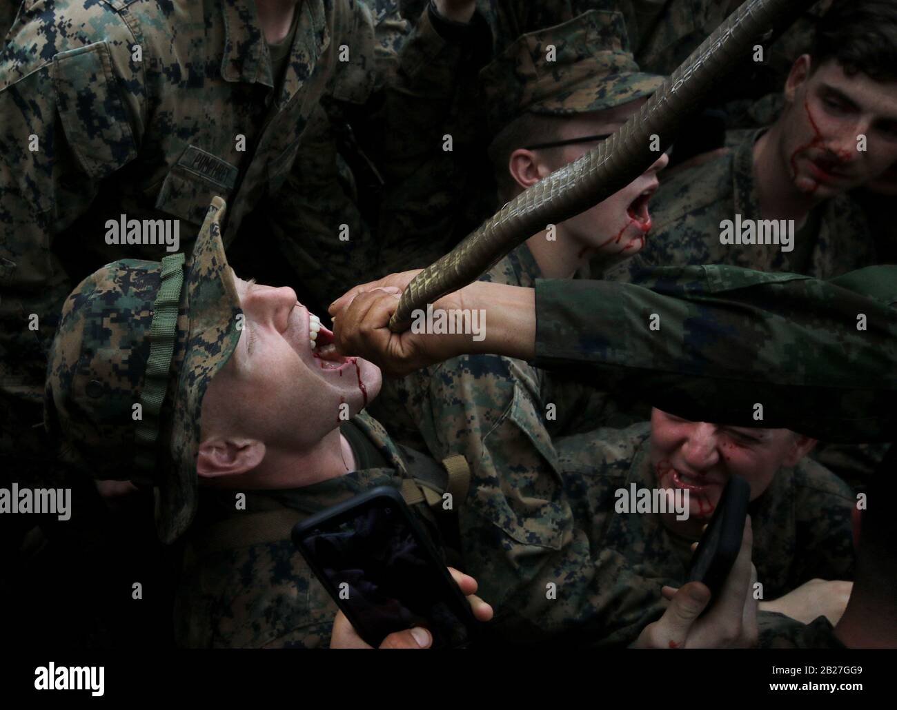 Chanthaburi, Thailand. 1st Mar, 2020. US Marines drink cobra's blood offered by a Thai Navy during a jungle survival training as part of the military exercise Cobra Gold 2020 at a Navy base in Chanthaburi province. March 01, 2020. The 39th annual Cobra Gold military exercise is an event held between the Thai and US armed forces every year. It's the largest Asia-Pacific military exercise held each year, and is among the largest multinational military exercises in which the US participates. Credit: Urdee Image/ZUMA Wire/Alamy Live News Stock Photo