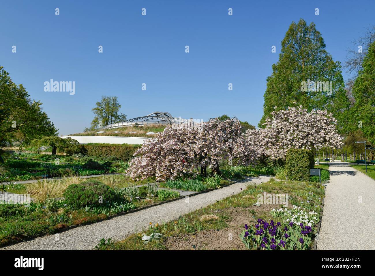 Blühende Bäume, Beete, Sealife, Berggarten, Herrenhäuser Gärten