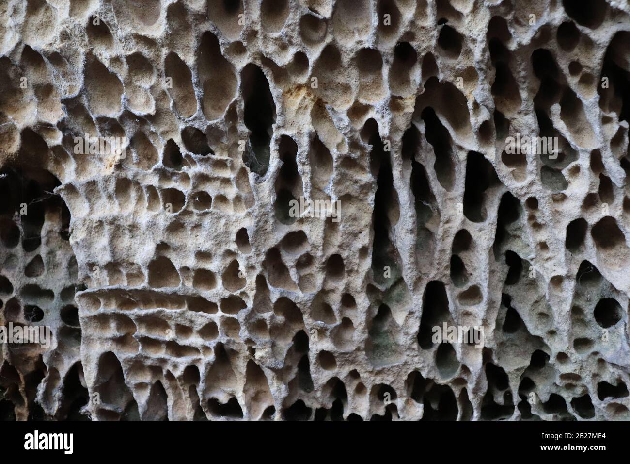 Honeycomb weathering seen on a sandstone rock, Bohemian Paradise, Czech Republic. Stock Photo