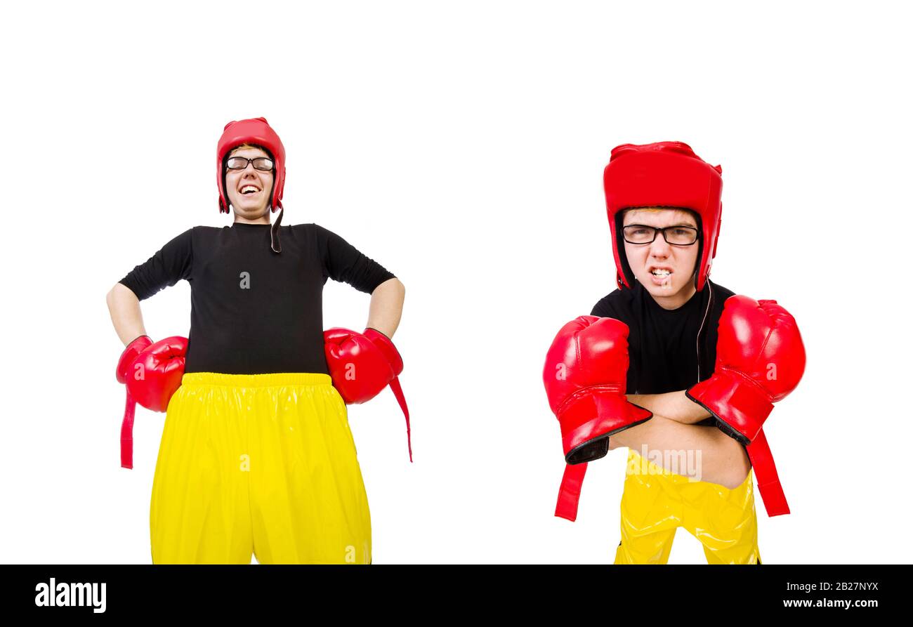 The funny boxer isolated on the white background Stock Photo - Alamy