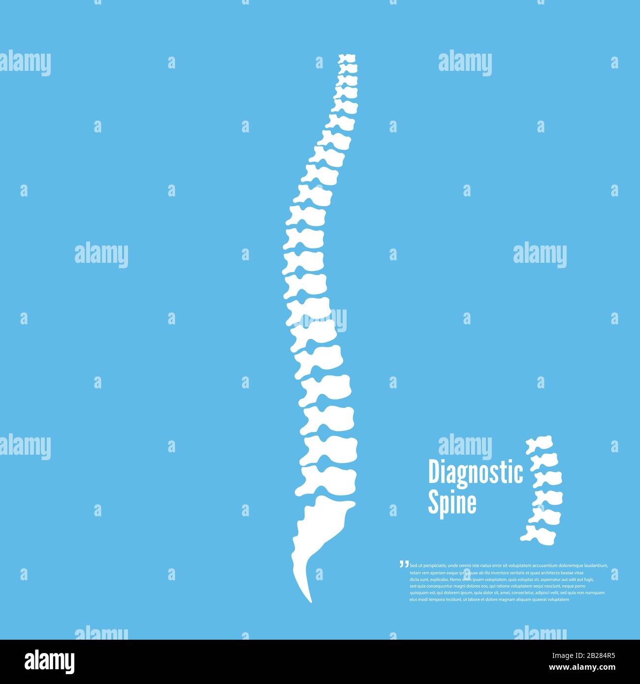 Spine diagnostics symbol or icon illustration Stock Vector