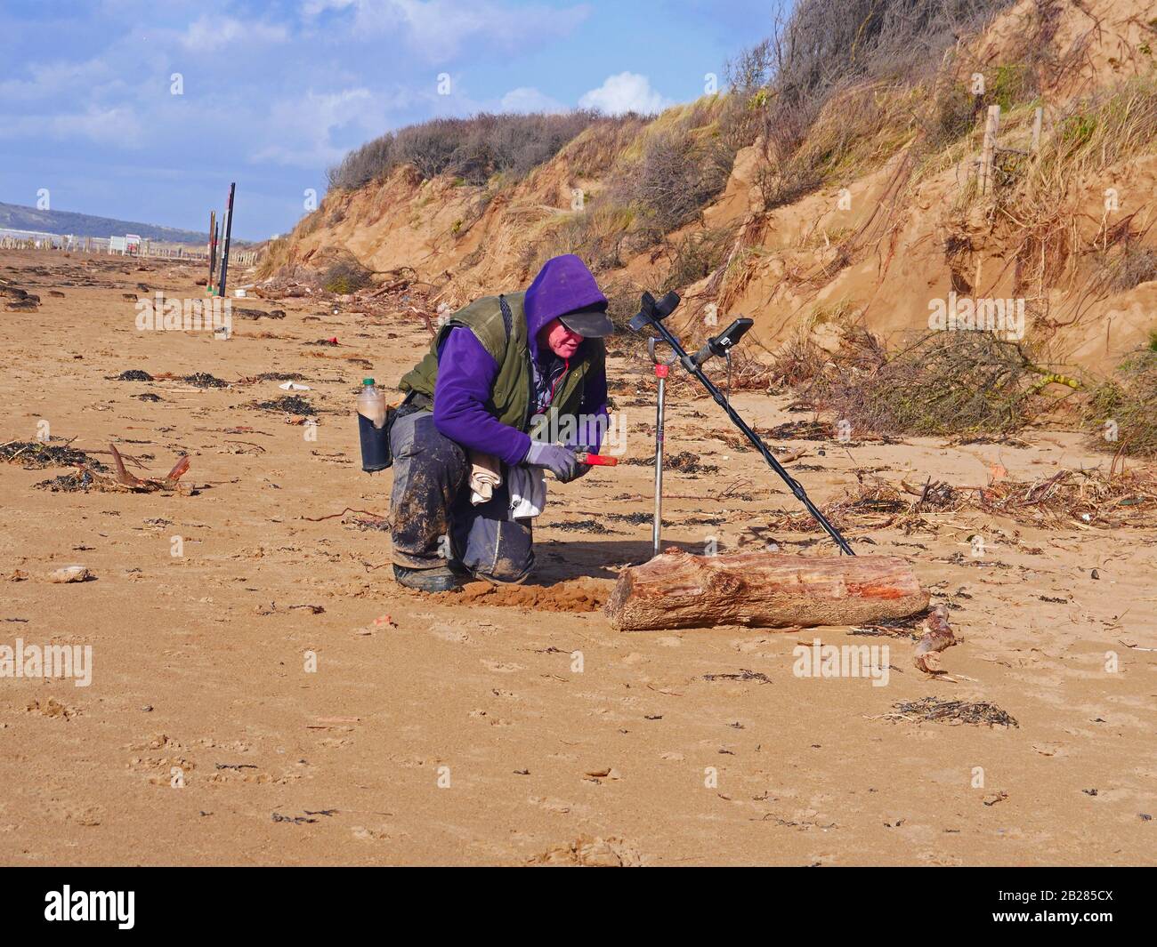 Metal detecting on Somerset beach, UK Stock Photo Alamy