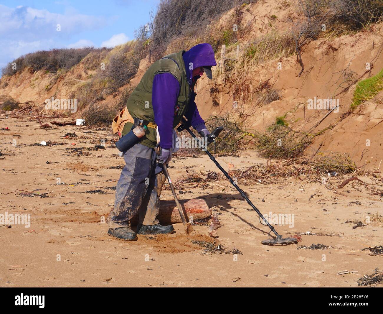 Metal detecting on Somerset beach, UK, Stock Photo