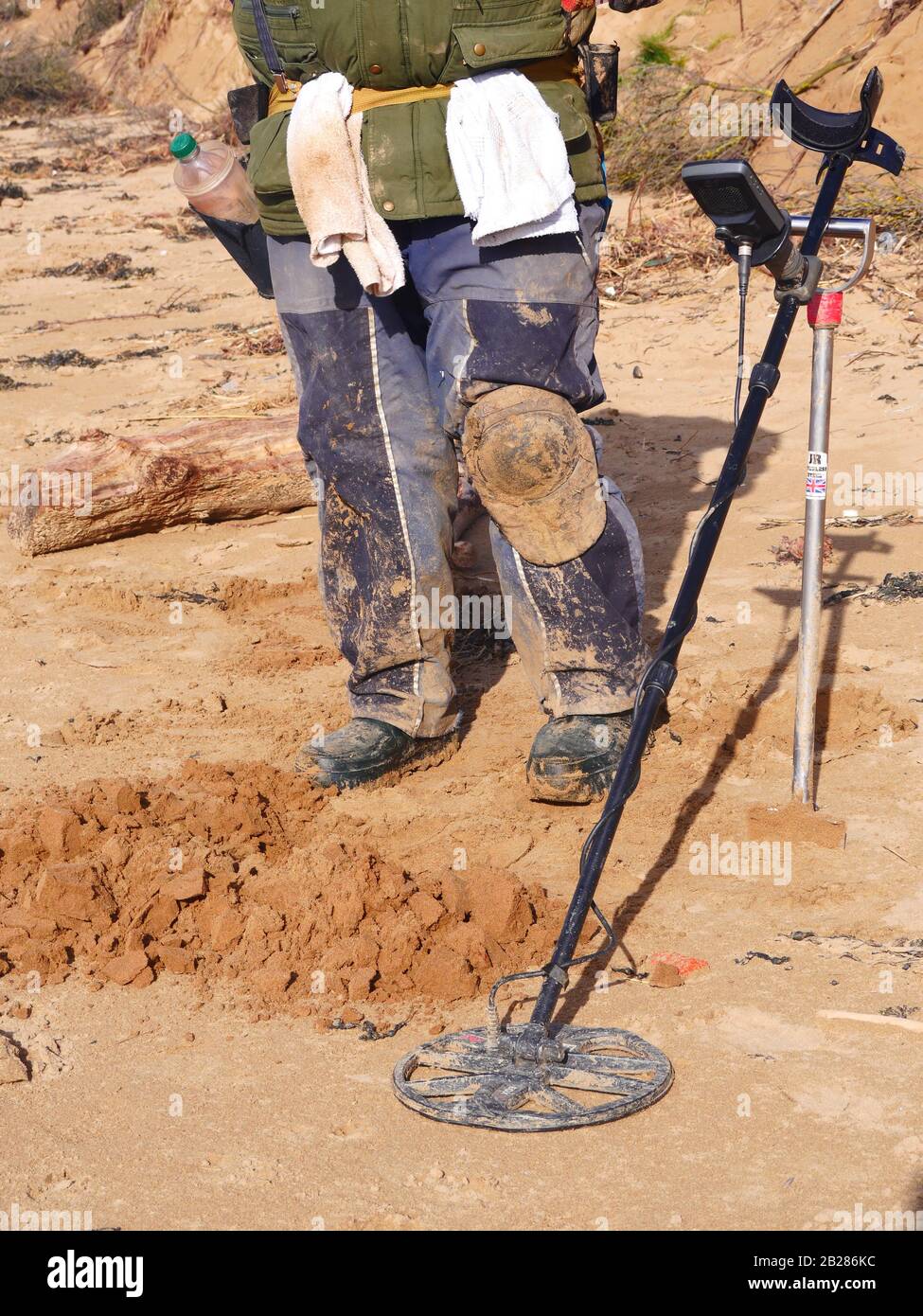 Metal detecting on Somerset beach, UK Stock Photo Alamy