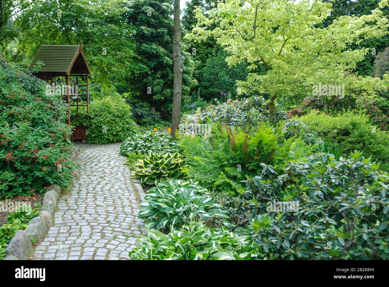 Botanischer Garten Christiansberg, Funkie (Hosta), Kˆnigsfarn (Osmunda
