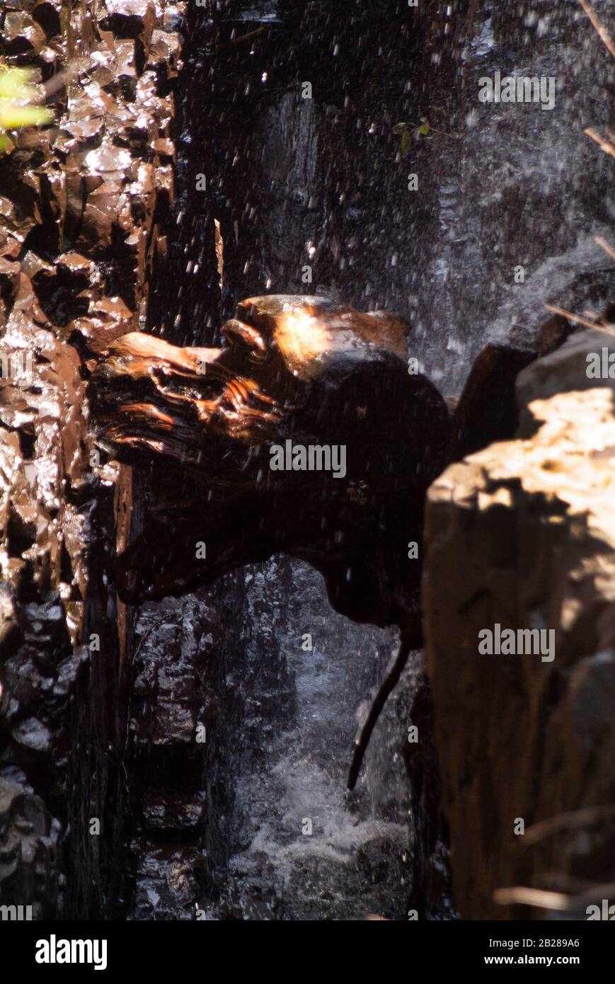 PARKS AND RECREATION VOLUME 3 Paterson Great falls National historic