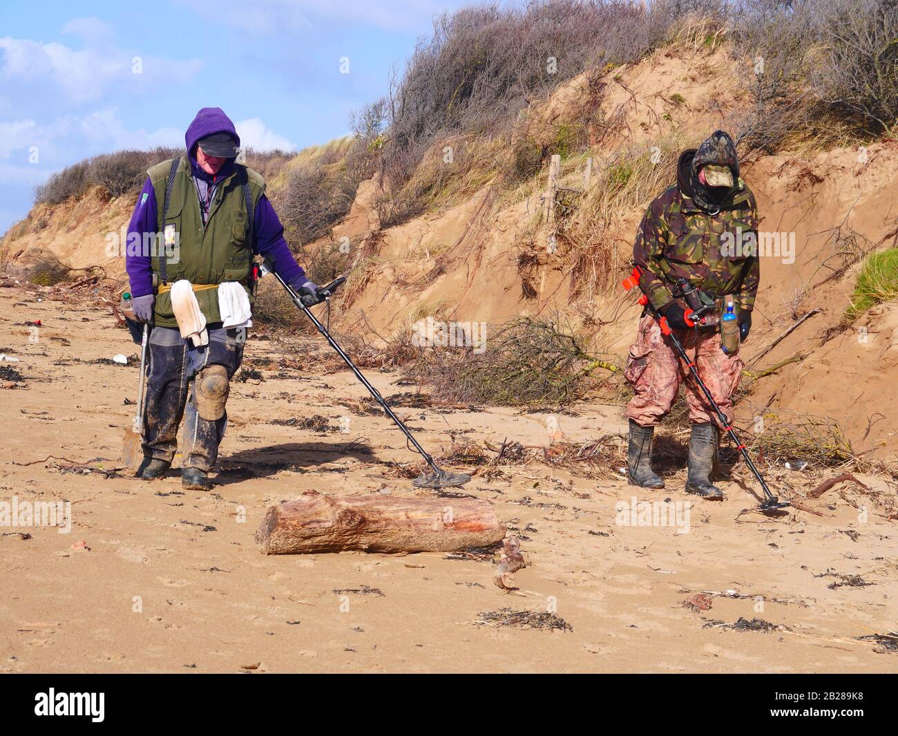Metal detecting on Somerset beach, UK Stock Photo Alamy