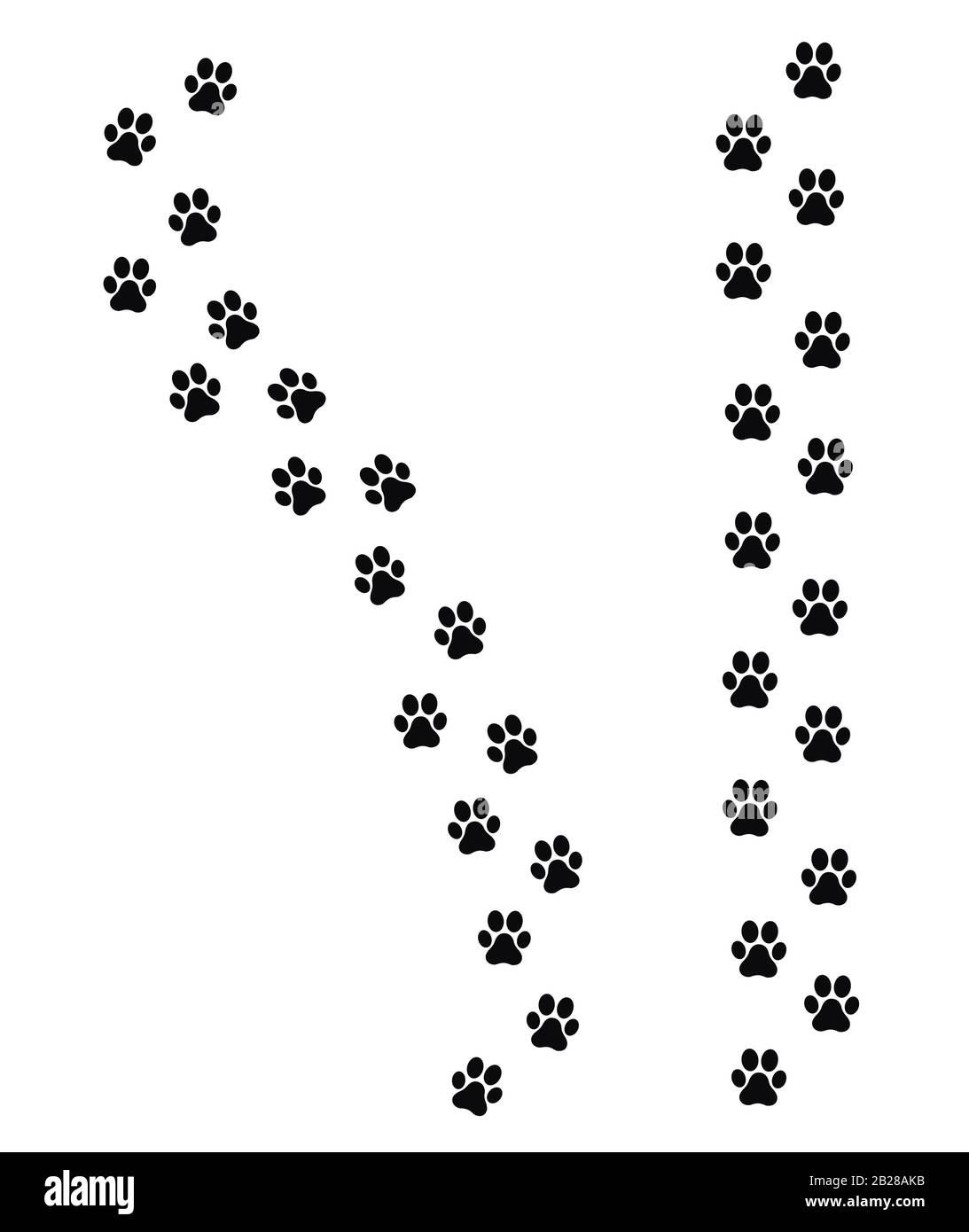 Raccoon paw print hi-res stock photography and images - Alamy