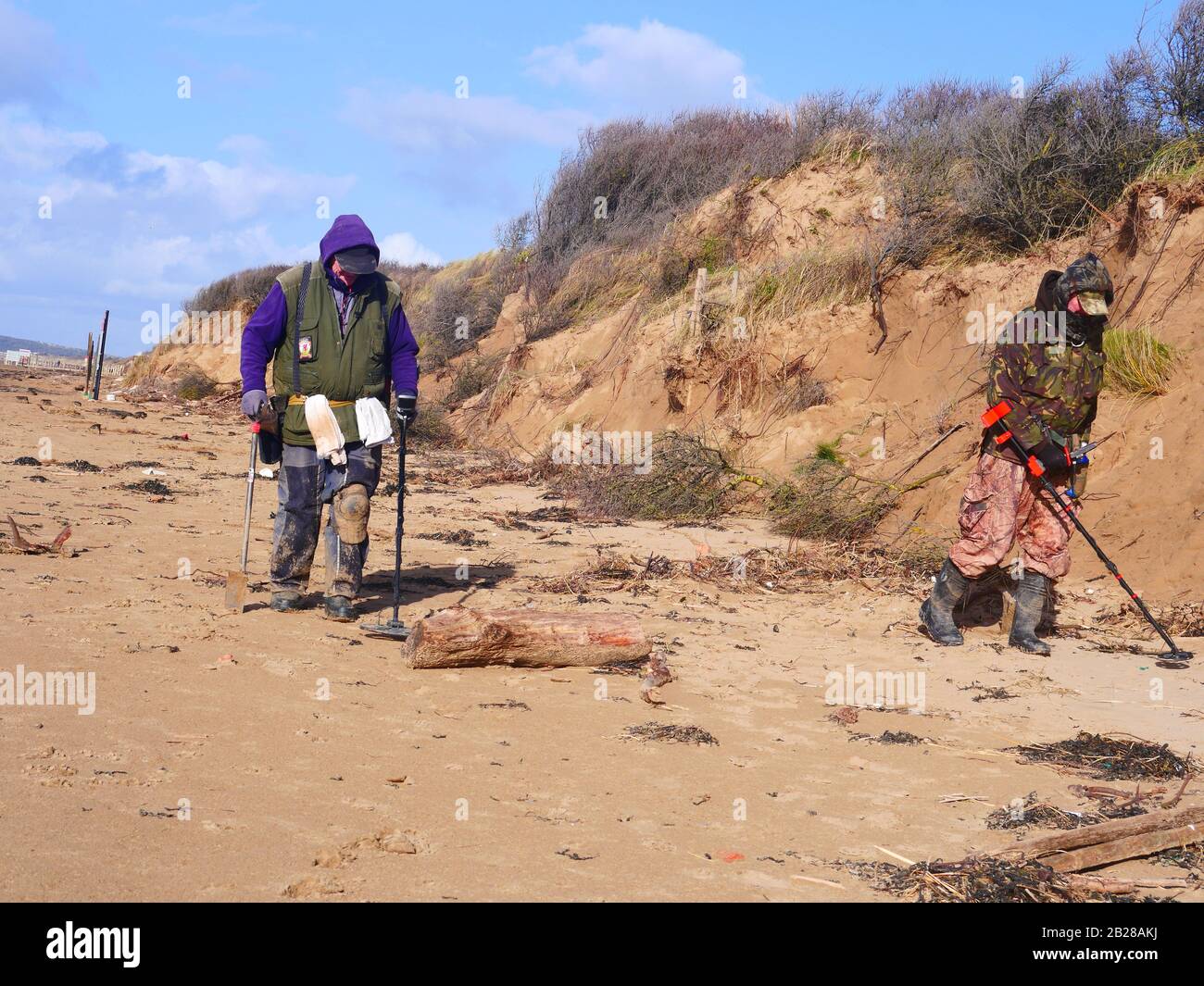Metal detecting on Somerset beach, UK Stock Photo Alamy