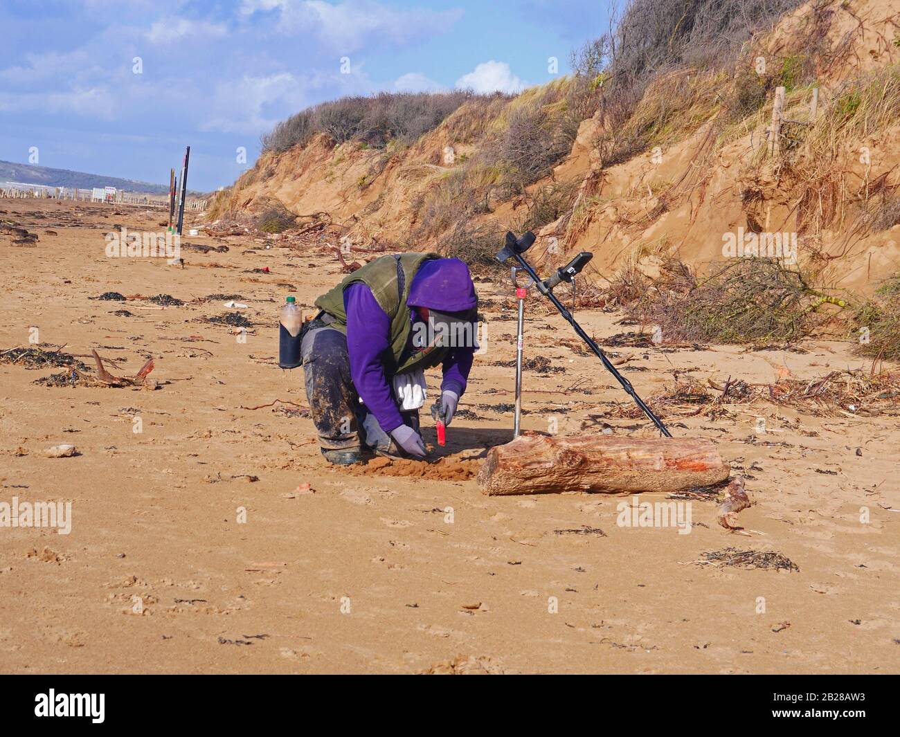 Metal detecting on Somerset beach, UK Stock Photo Alamy