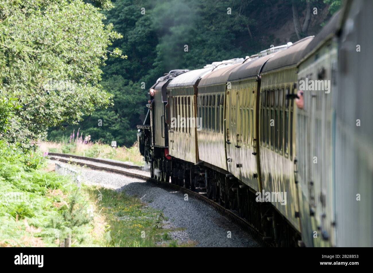 A passenger steam train of the North Yorkshire Moors railway heading for Pickering railway station on the North York Moors, in Britain.  The steam loc Stock Photo