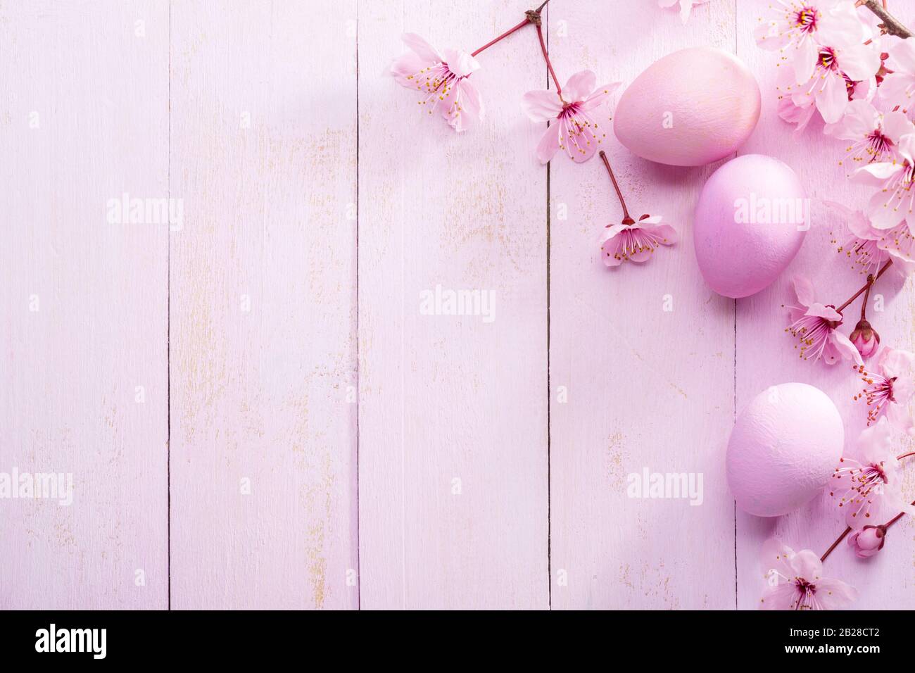 Easter eggs and flowers of  Sakura on an old pink wooden table. Flat lay. Stock Photo
