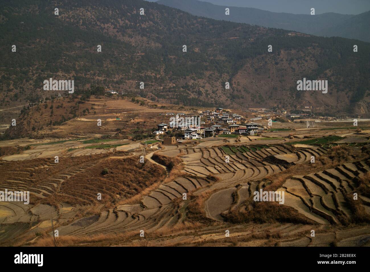 Bhutanese village with Chimi Lhakhang Monastery (fertility monastery) in the background Stock Photo