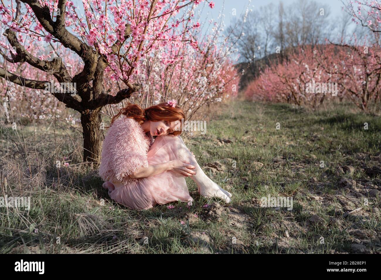 Beautiful young girl with red hair in a gentle peach garden, which blossomed. The concept and idea of skin and hair care. Stock Photo