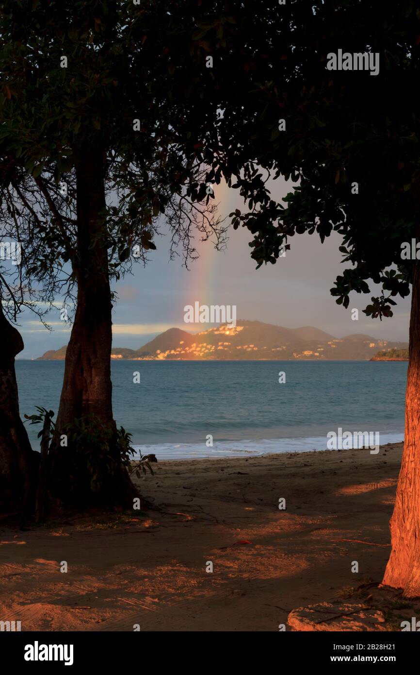 Rainbow at sunset, light beyond darkness, the dark blue sea in between  framed by foliage and trunks of the white cedar trees on Vigie beach Stock Photo