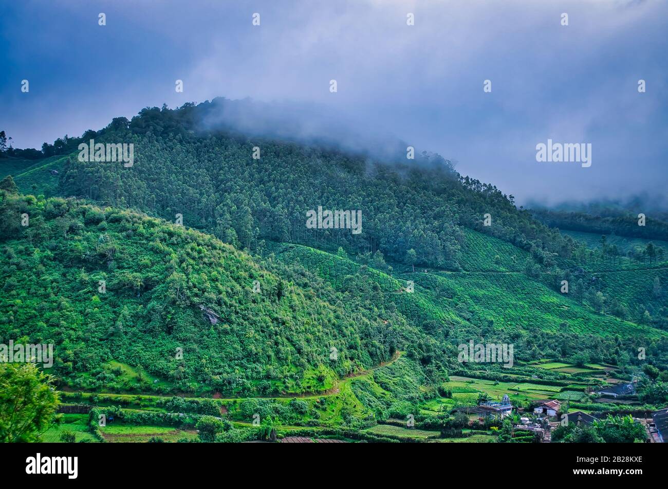 Foggy mountain covered in greenery and houses at the bottom of the hill. From Munnar, Kerala, India. Stock Photo