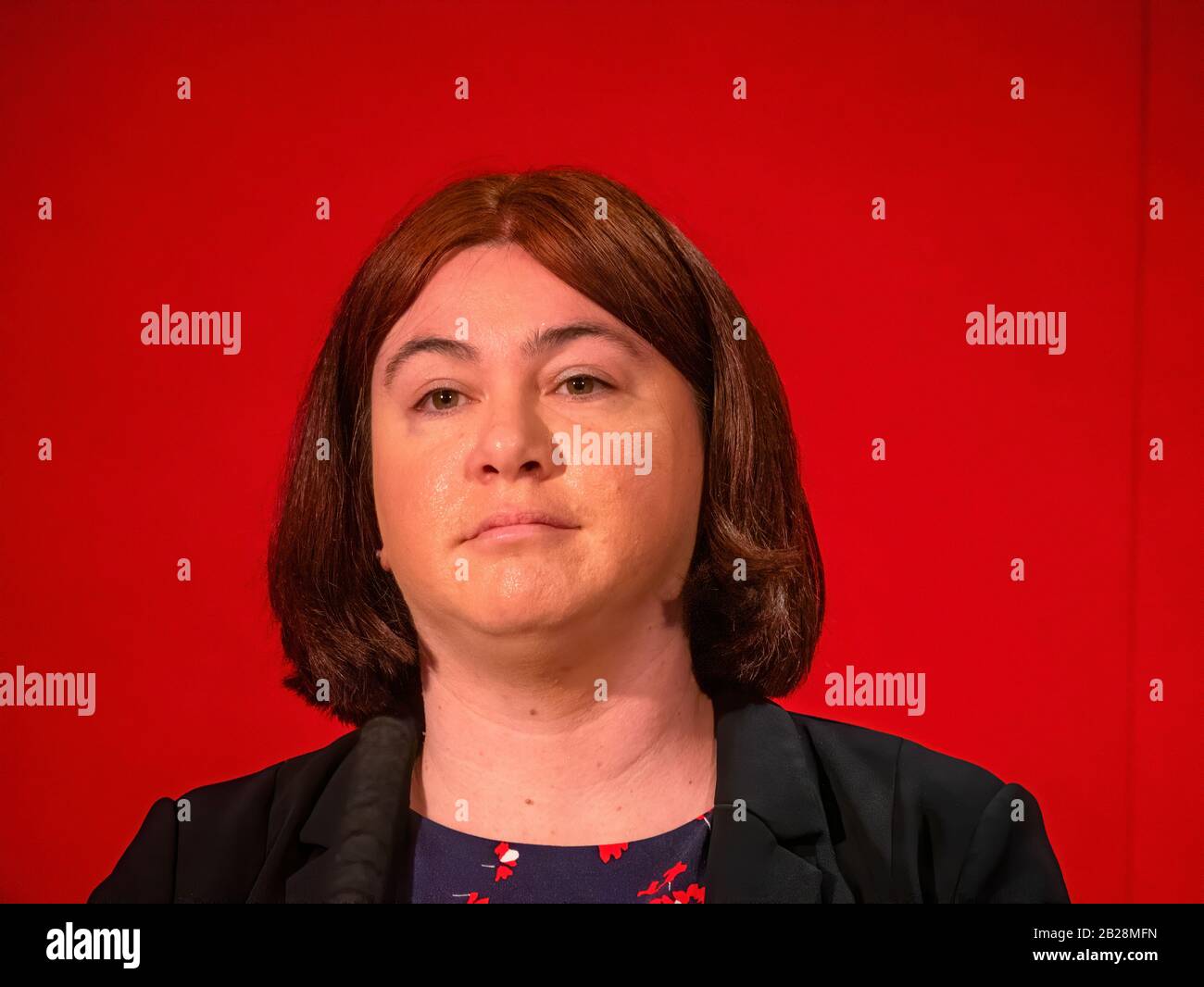 Alex Mayer ex Labour MEP for the East of England Stock Photo - Alamy