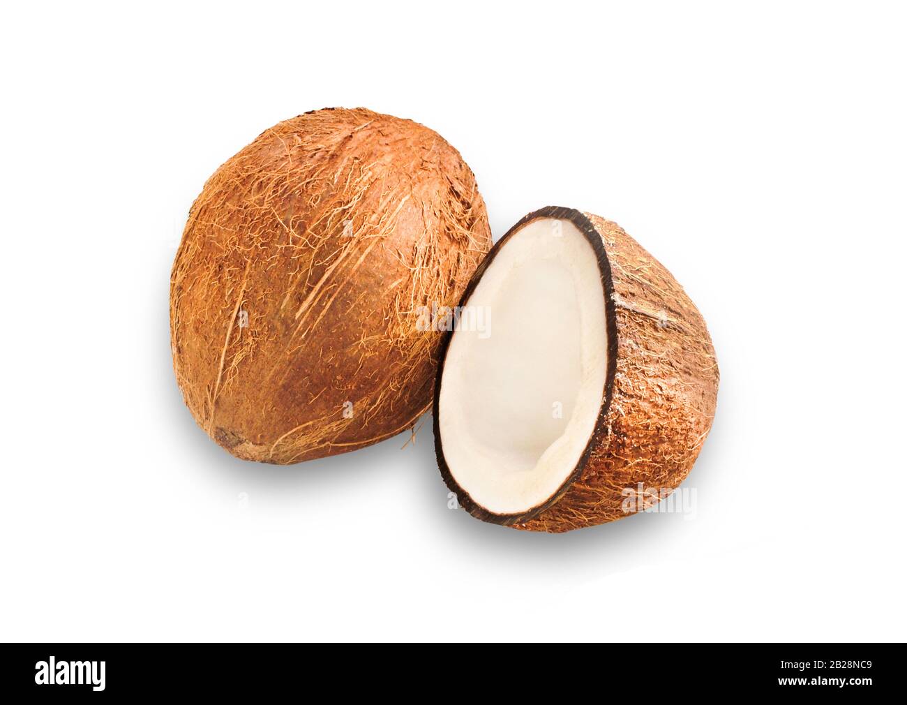 sudio shot of whole coconut and cut half isolated on white background with shadow Stock Photo