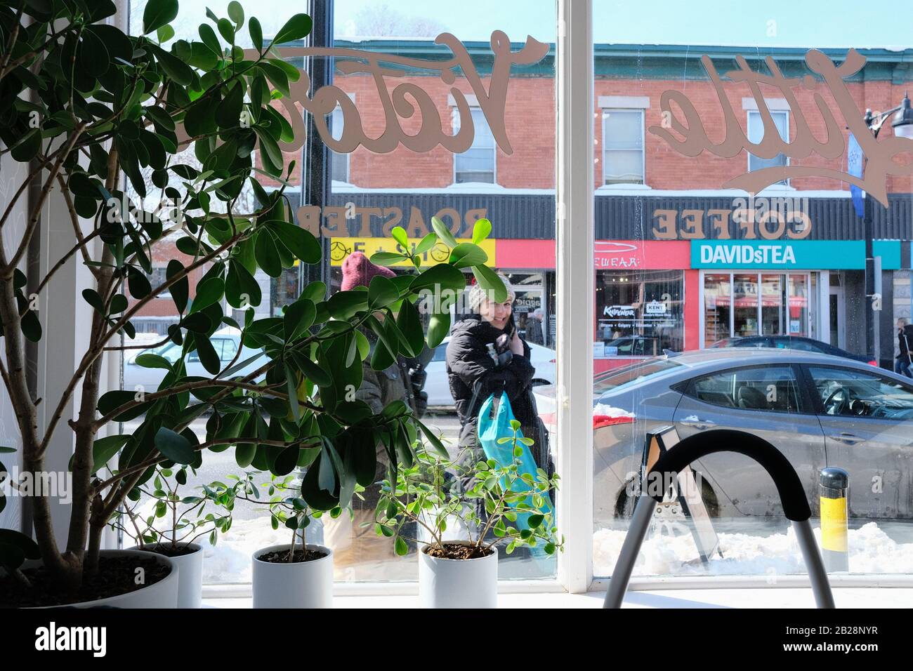 Potted plant and lady staring through the window of a local coffee shop