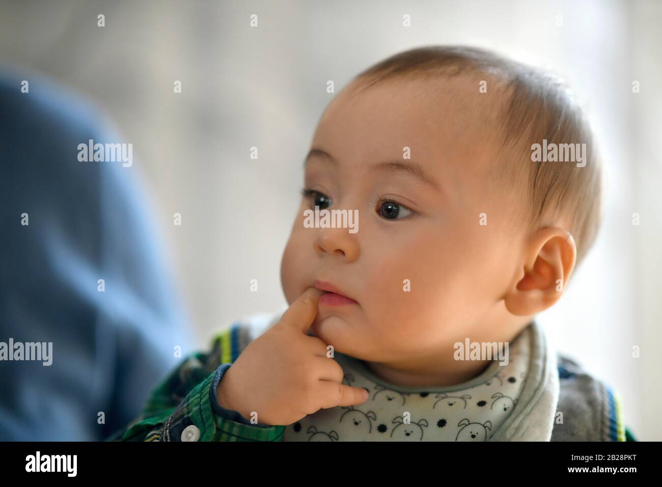 Toddler, 6 months, multiethnic, portrait, thoughtful, Baden-Wuerttemberg, Germany Stock Photo