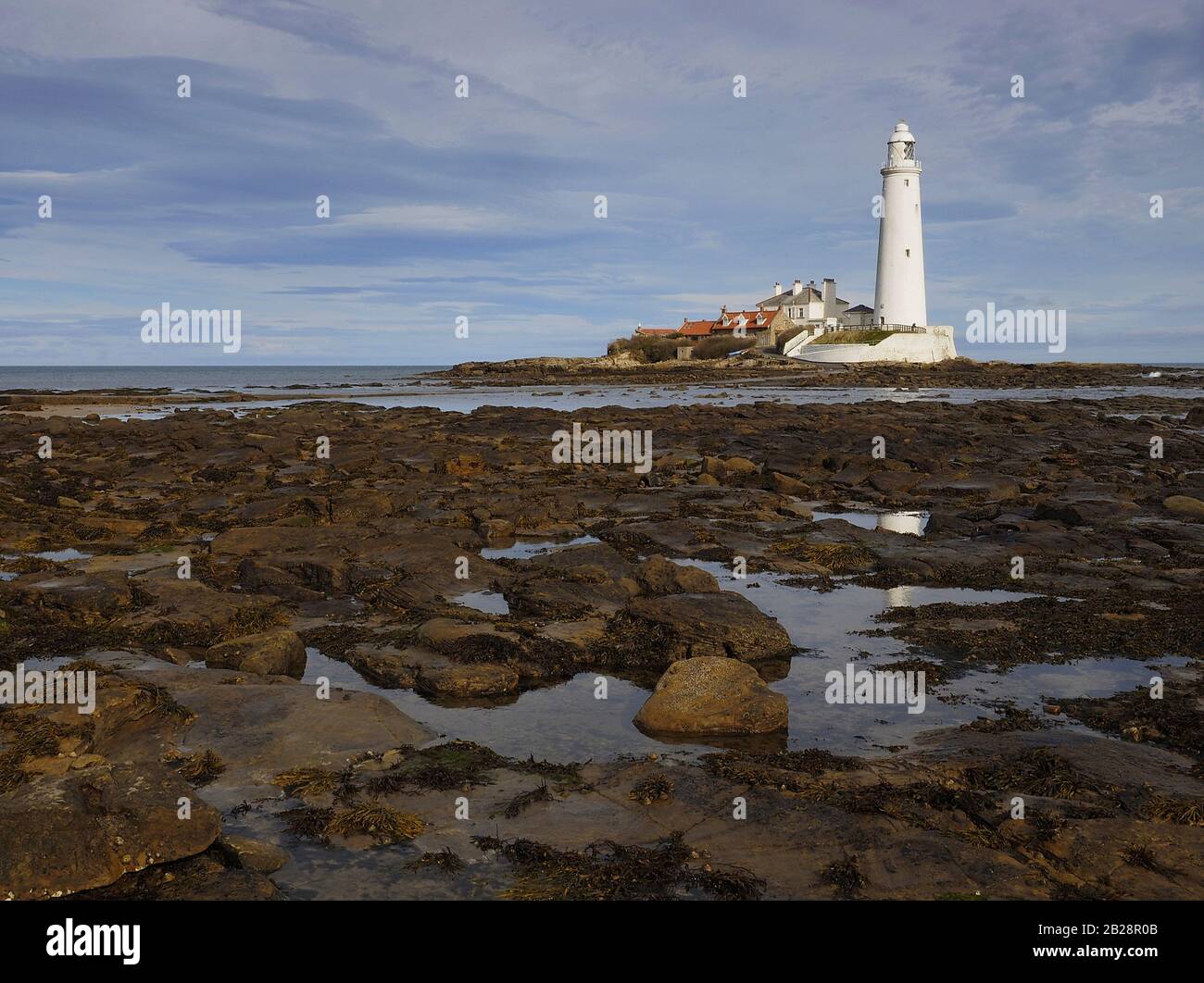 St Mary's Lighthouse Whitley Bay Northumberland Stock Photo Alamy