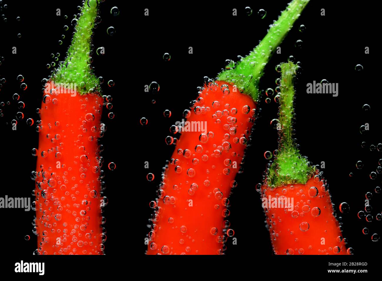 Closeup of three red pods of pepperoni, submerged in water against a