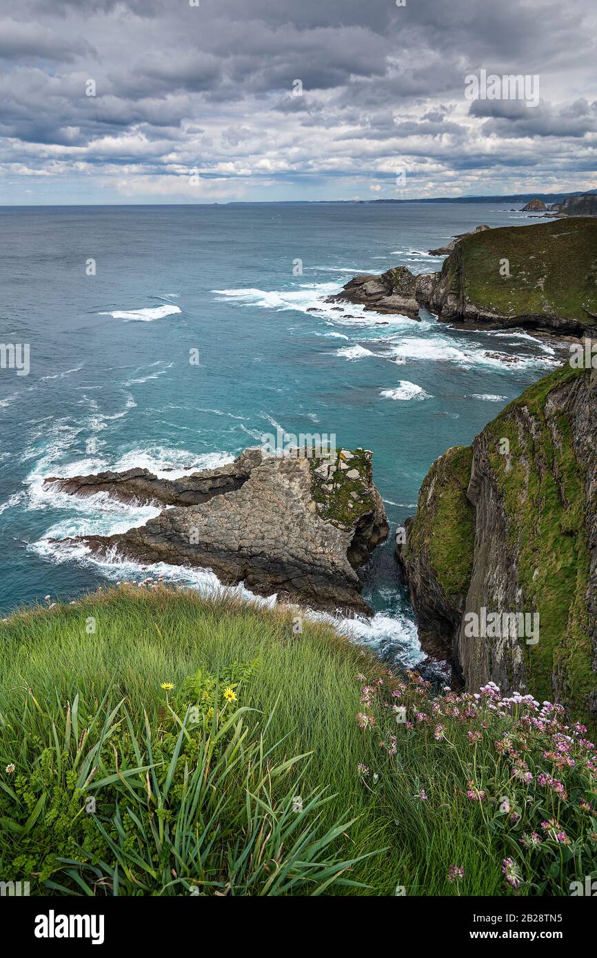 Green border Stock Photo