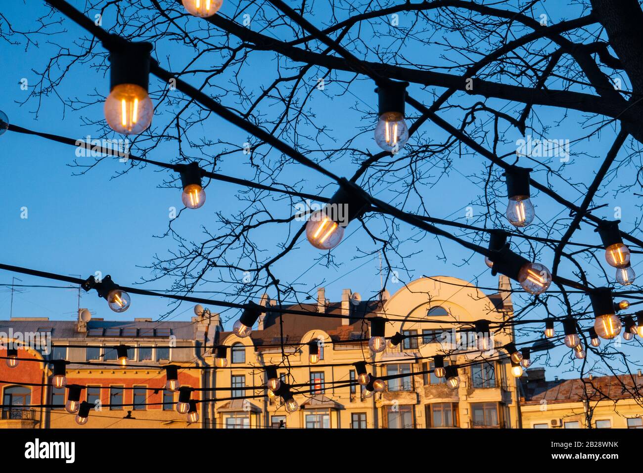 Light bulbs on the evening blue sky. Stock Photo