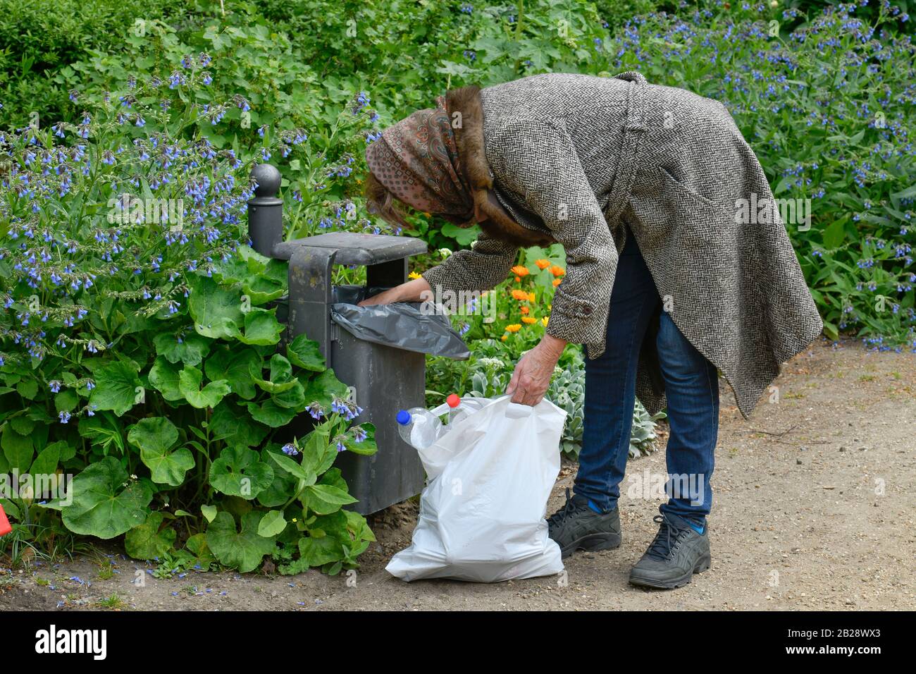 Gestelltes Symbolfoto, Altersarmut, Seniorin, Flaschensammeln, Mülleimer, Park Stock Photo