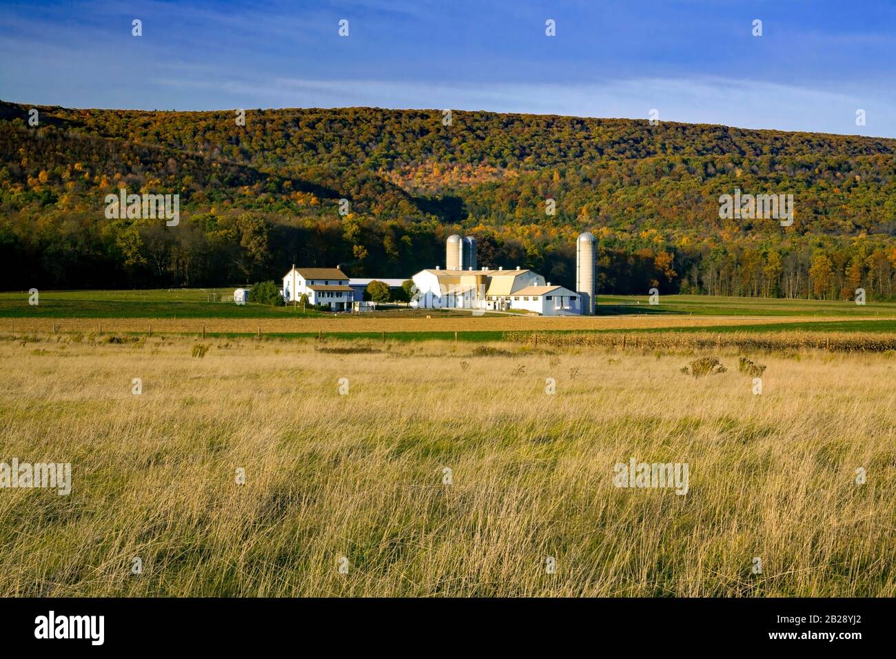 A typical dairy farm as found throughout the ridge and valley province