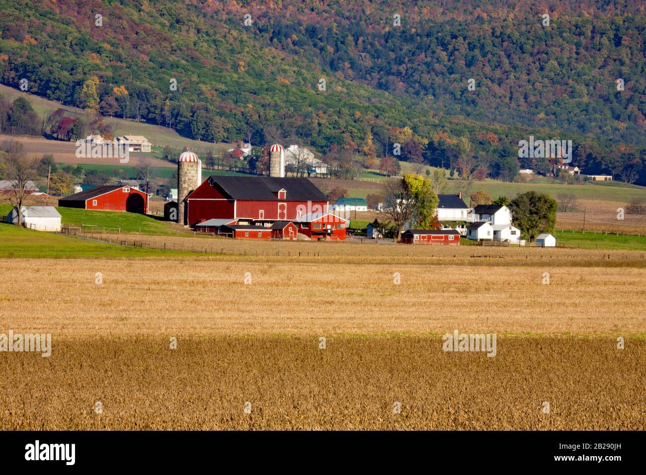 Amish farms in rural pennsylvania hires stock photography and images
