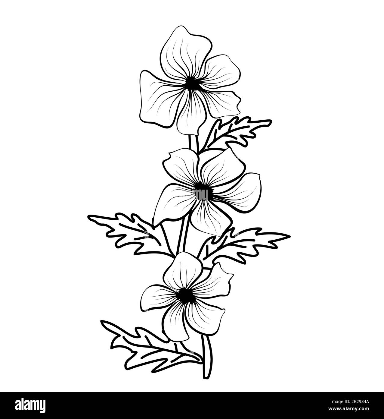 Black outlines of flowers. Flower icon. Vector outline illustration. Floral  illustration. Flower background. Isolated white background Stock Vector  Image & Art - Alamy