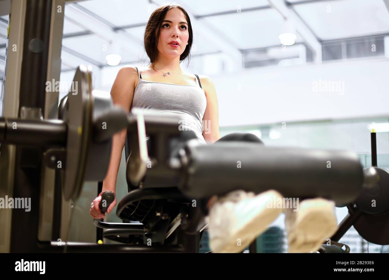 Hamstring Exercise Machine