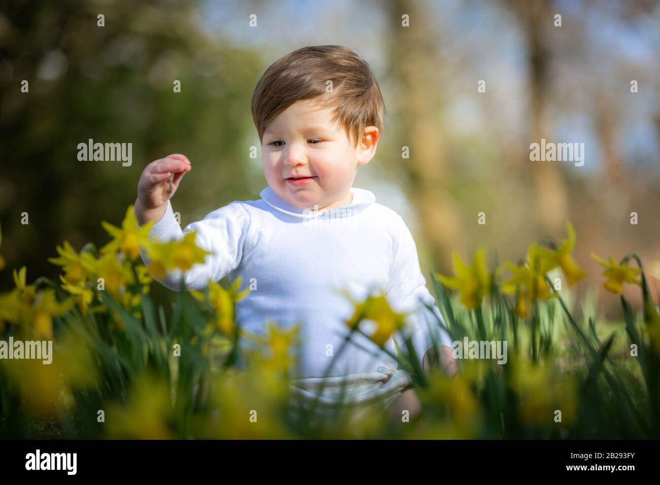 One year old white boy outside Stock Photo