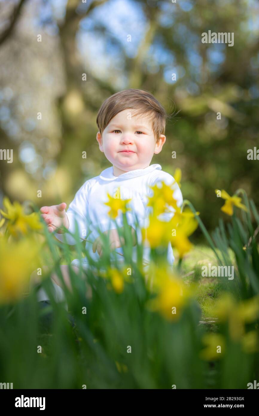 One year old white boy outside Stock Photo Alamy